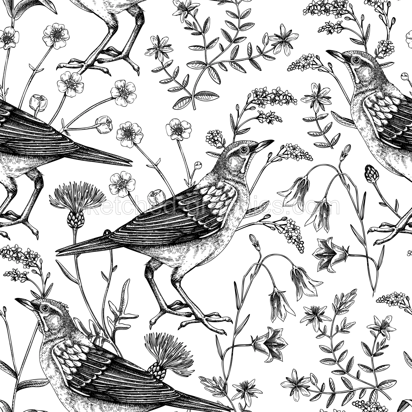 Summer background. Floral seamless pattern. Wildflowers and birds vector illustration in sketch style. Perfect for textile, wrapping paper, packaging, fabrics. Illustration